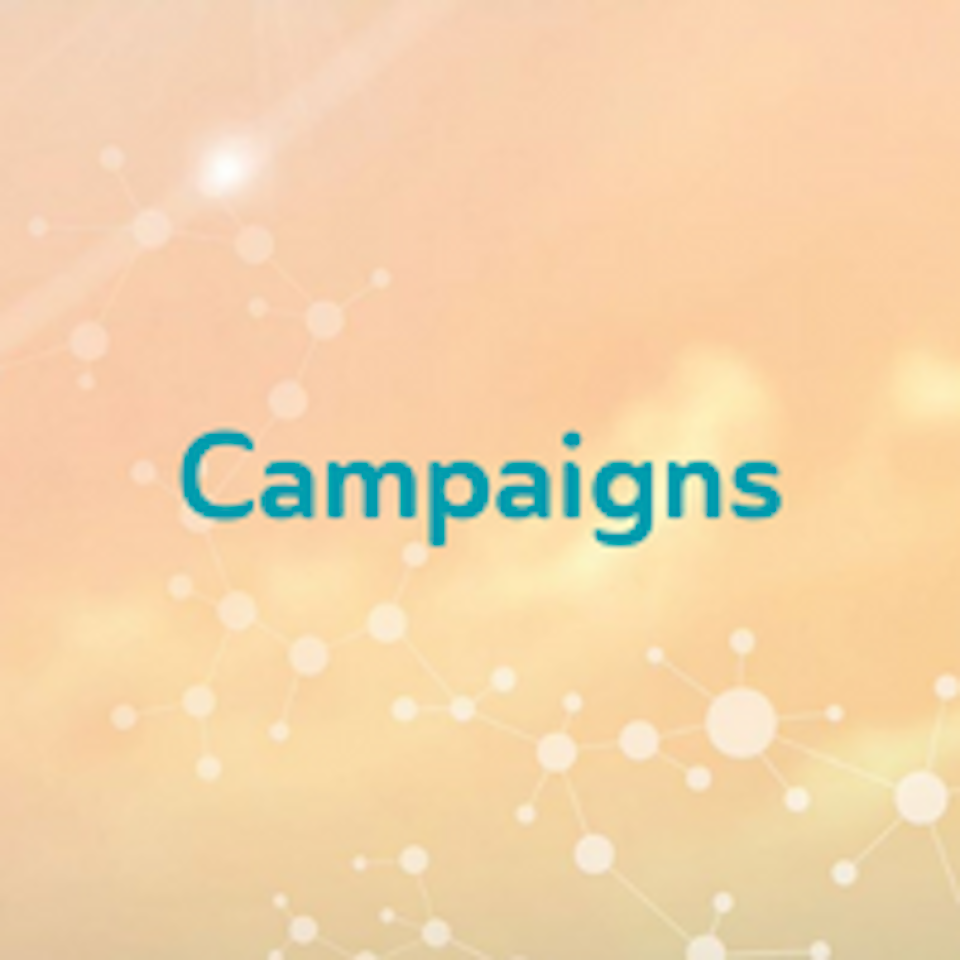 Campaigns