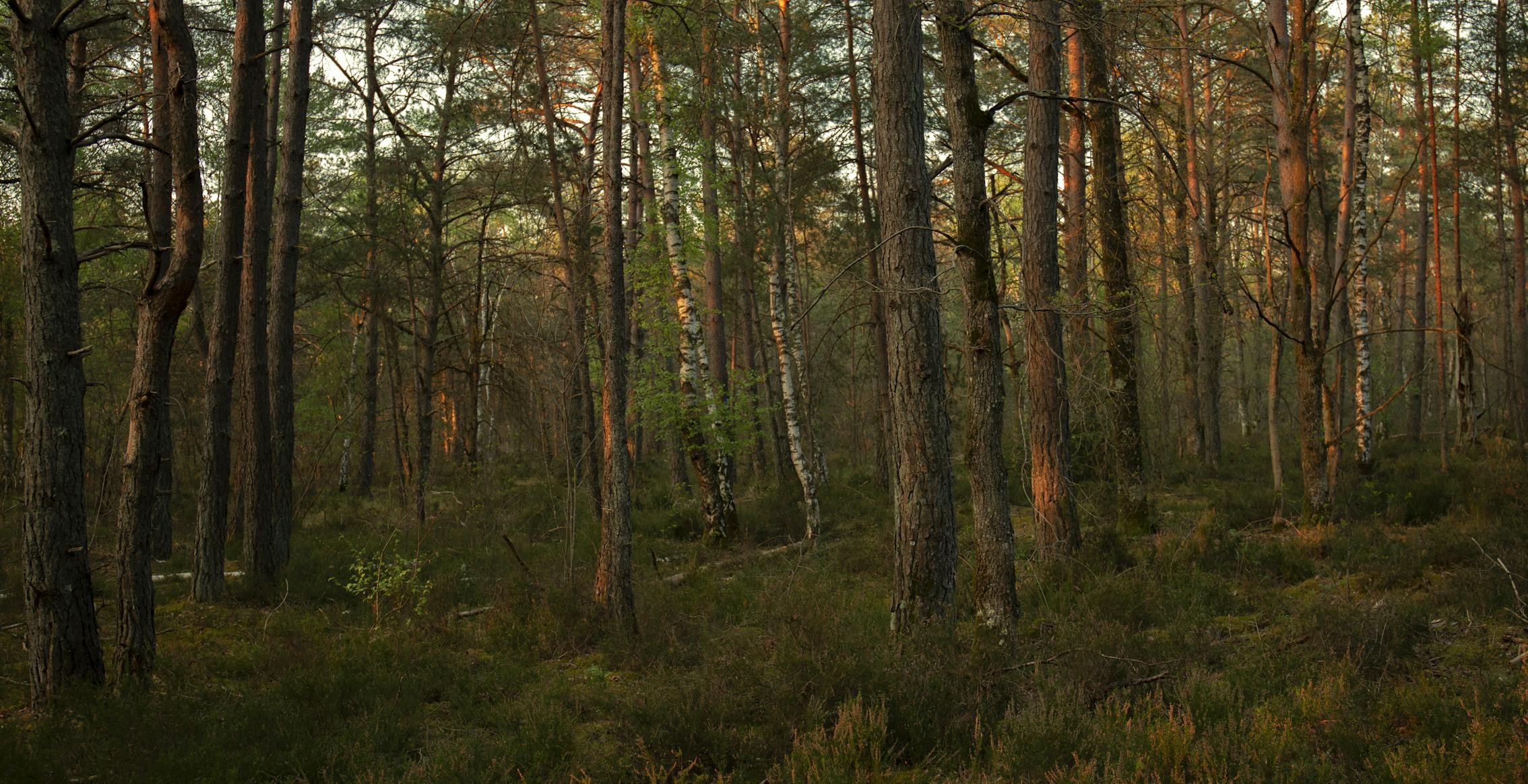 crédit photo : Flavie Trichet-Lespagnol