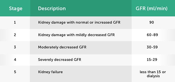 Treating Nephropathy: Diabetes Complications by CCS Medica