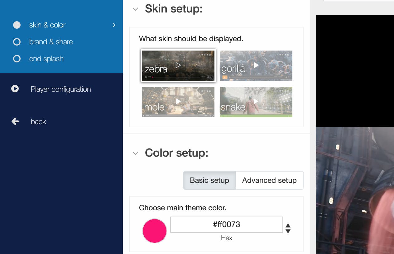 Skin and color setup