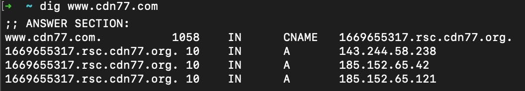 dig command and answer section in linux systems