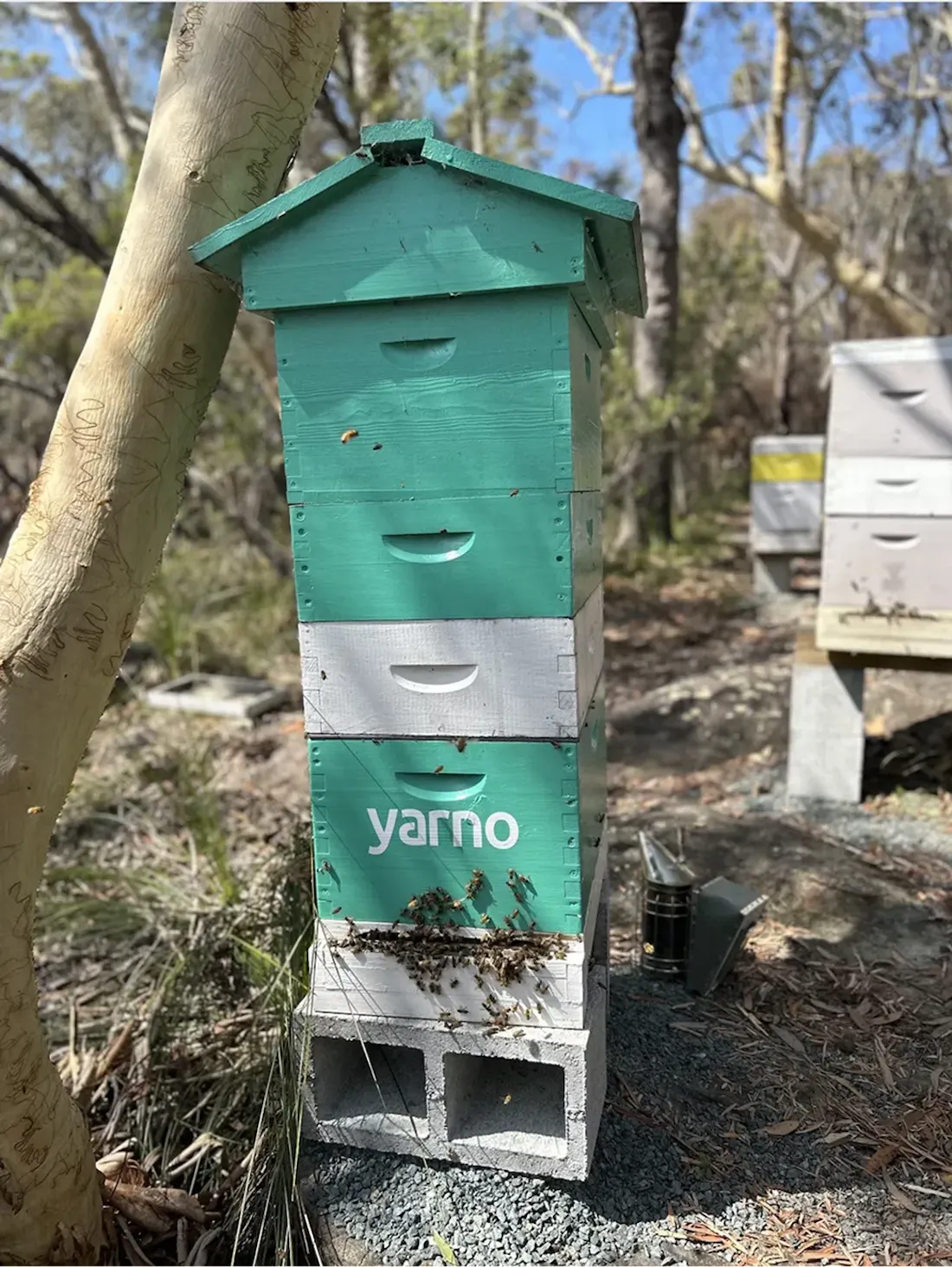 Yarno Beehive