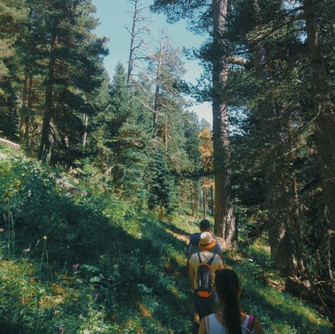 Kids Hiking