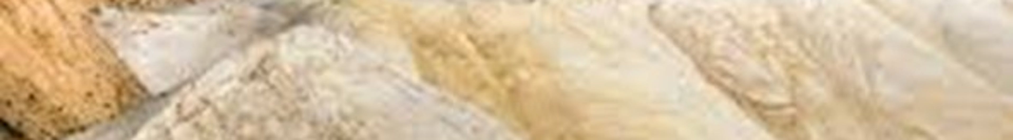 Phosphorus & Silicea