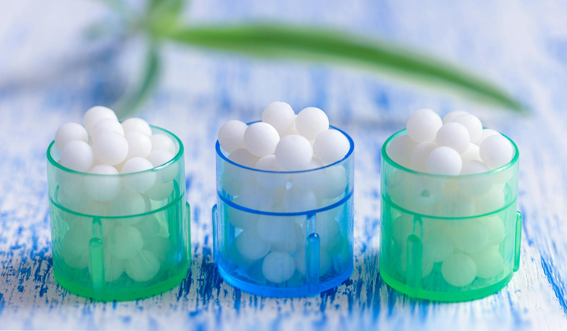 CEDH Formation - Les Essentiels à la carte (shutterstock)