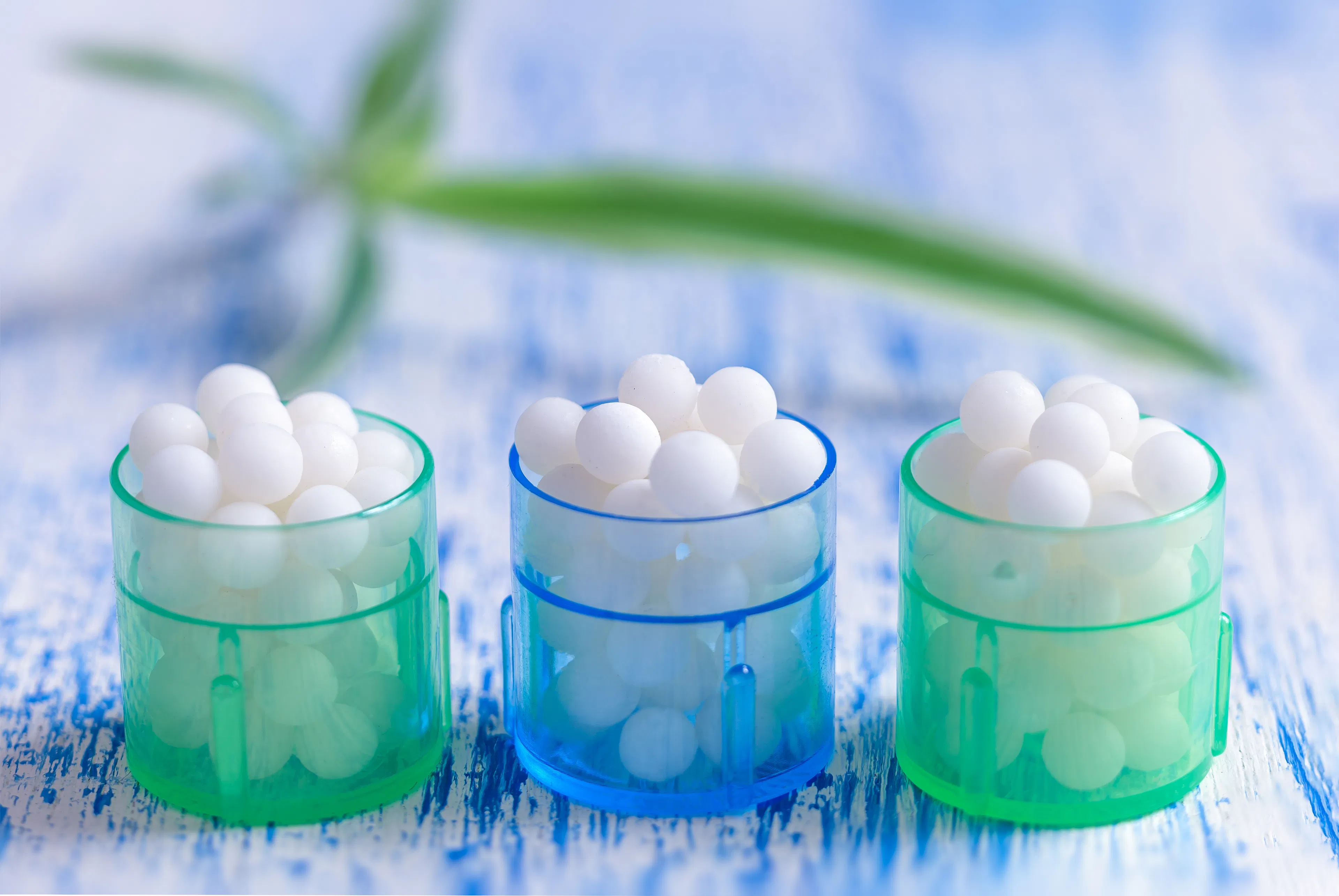 CEDH Formation - Les Essentiels à la carte (shutterstock)