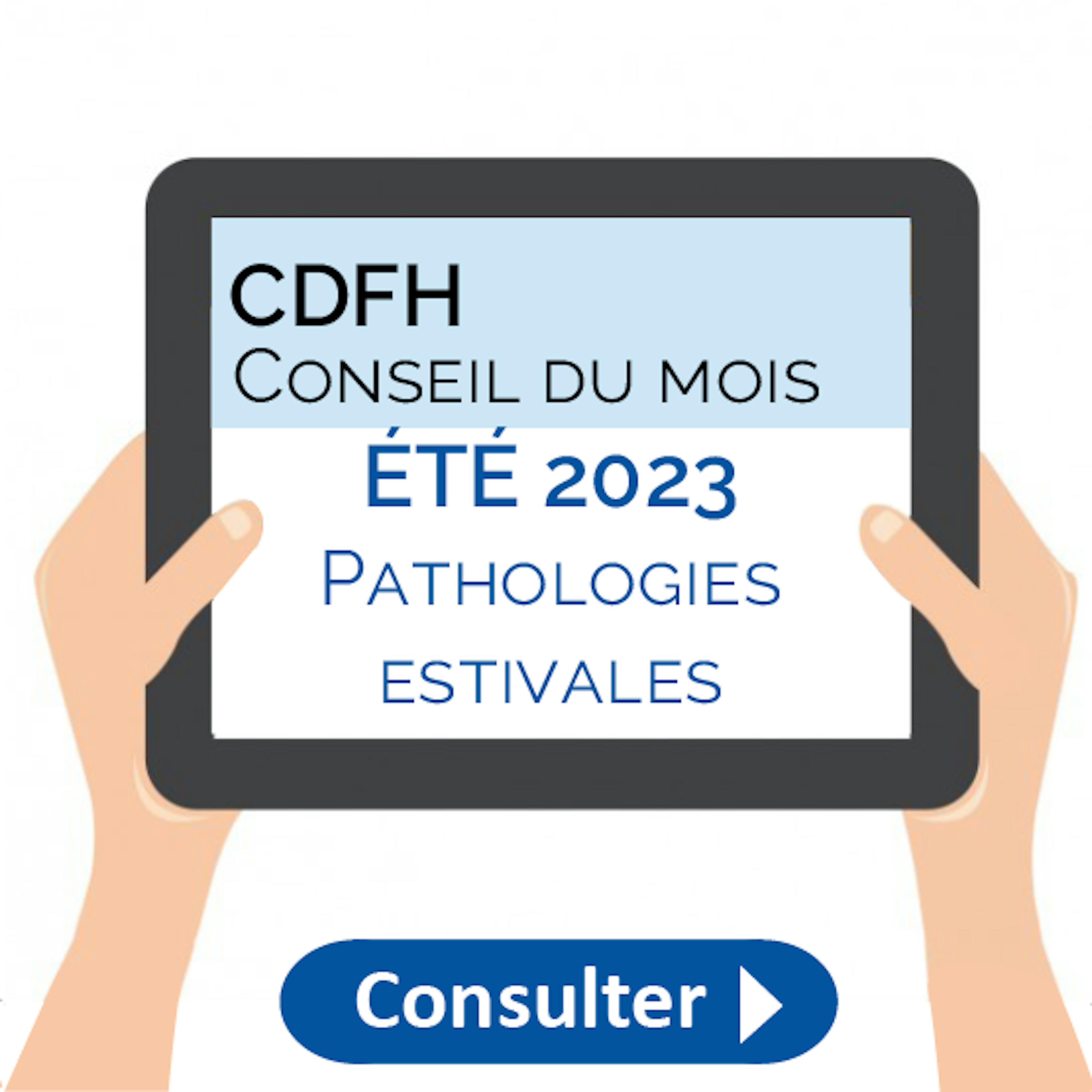 CDM encart site été 2023