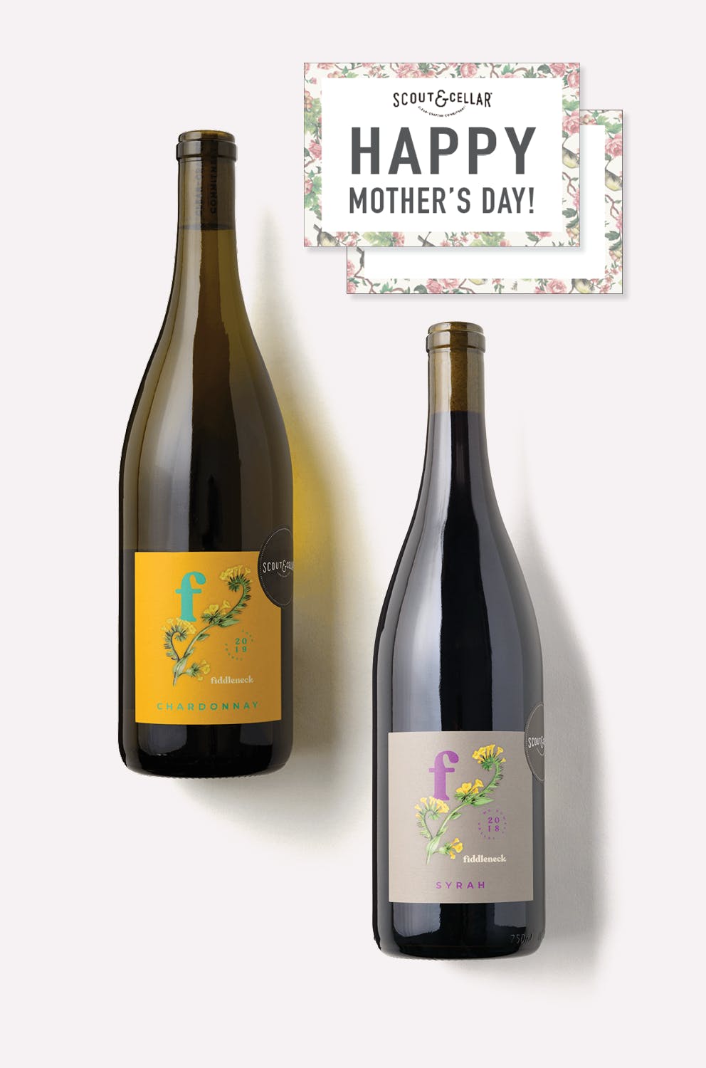 scout and cellar wine