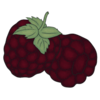 Black Raspberry