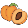 Apricot