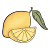 Citrus Slice
