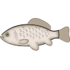 Seafood
