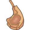 Pork
