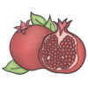 Pomegranate