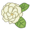 White Flowers