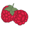 Raspberry