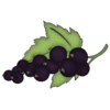 Cassis