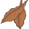 Tobacco