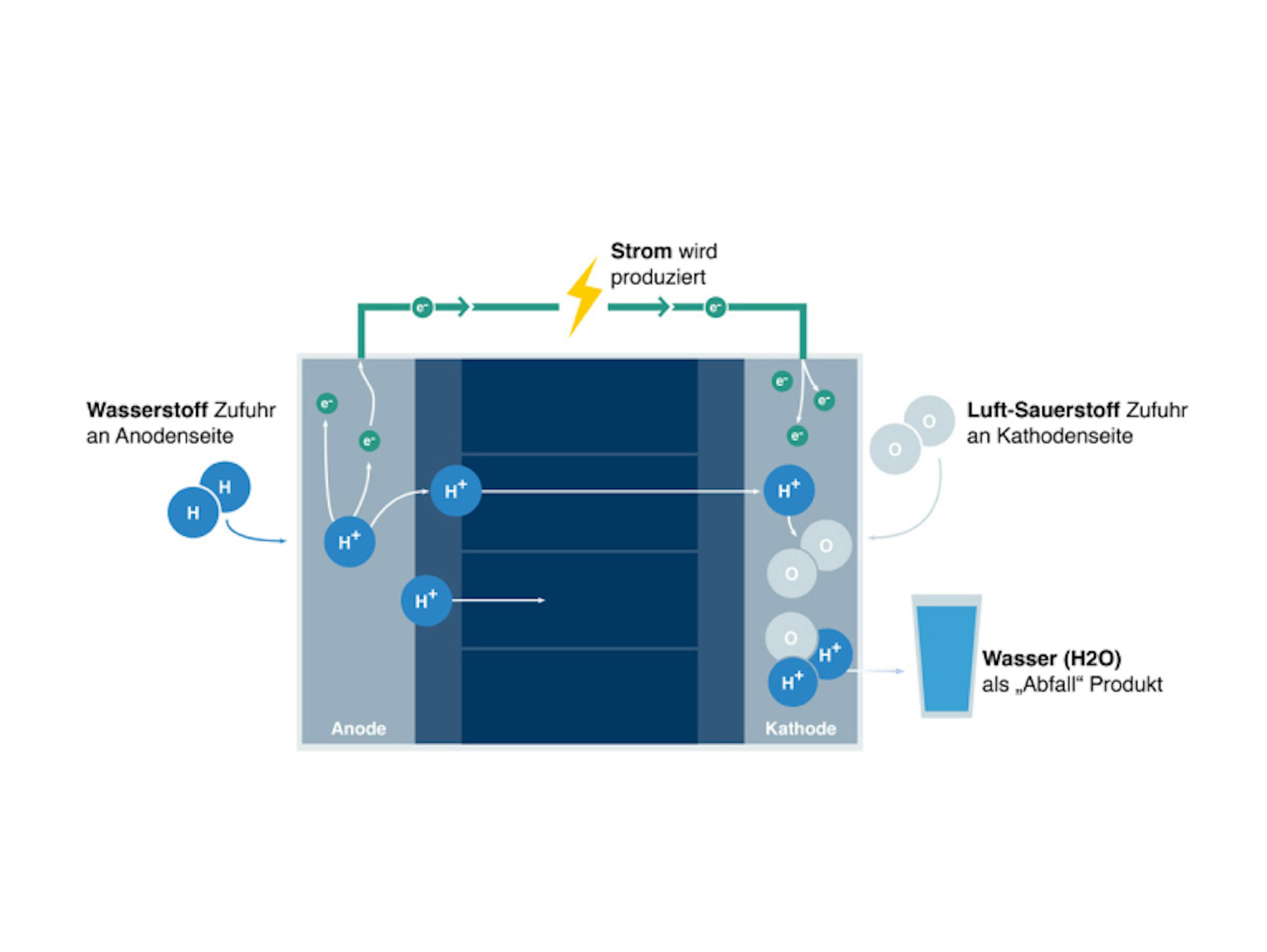 Bild zeigt das System einer cellcentric-Brennstoffzelle, die mit Wasserstoff und Sauerstoff aus der Luft betrieben wird. Durch eine Wasserstoff Zufuhr an der Anodenseite in Kombination mit einer Luft-Sauerstoff Zufuhr an der Kathodenseite wird Strom produziert. Wasser (H20) bleibt als Abfall-Produkt zurück.