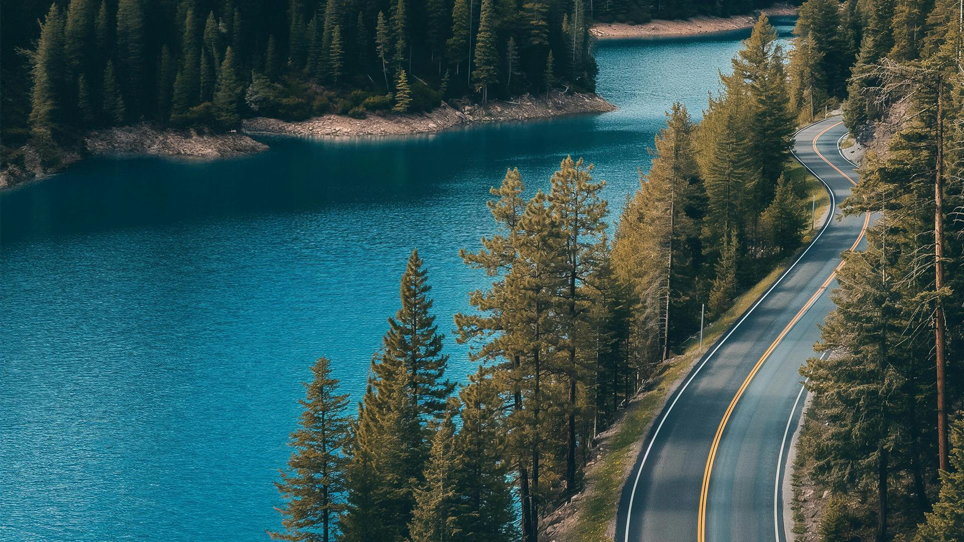 A road by a lake with trees in the background