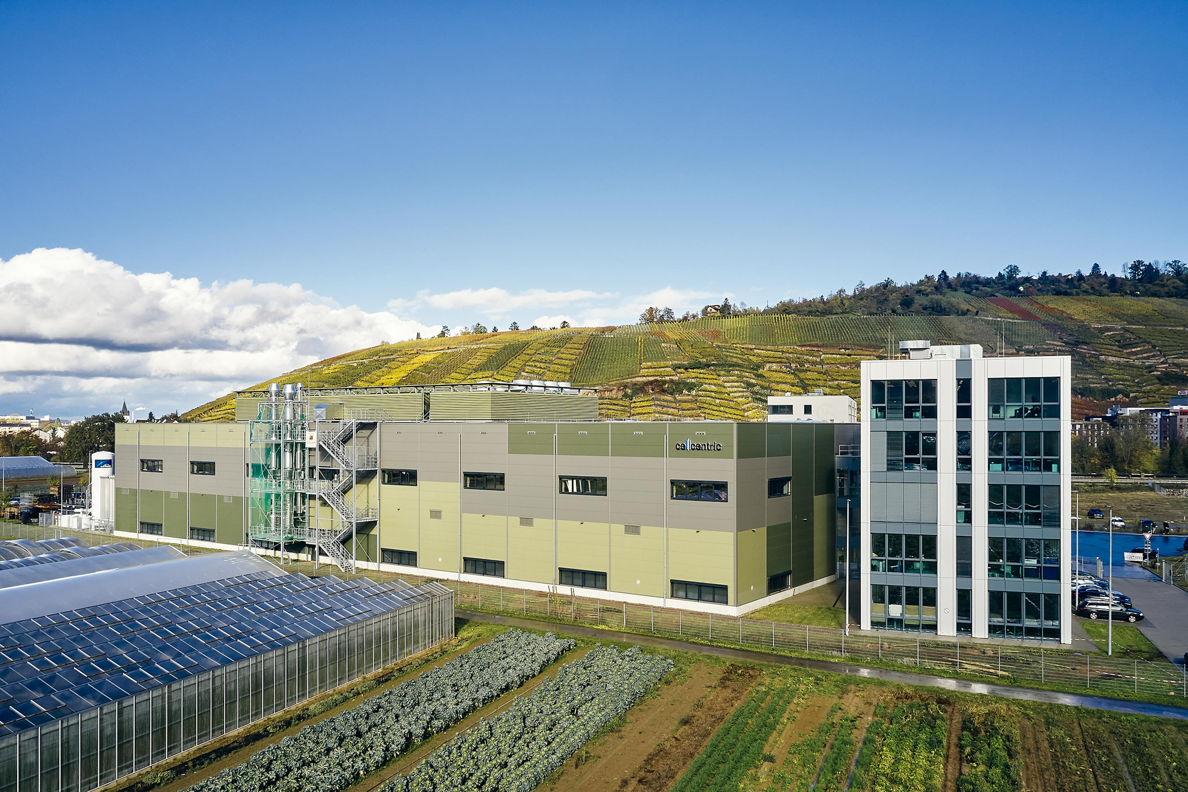 Industrial facility with greenhouses, office building and vineyard-covered hillside.