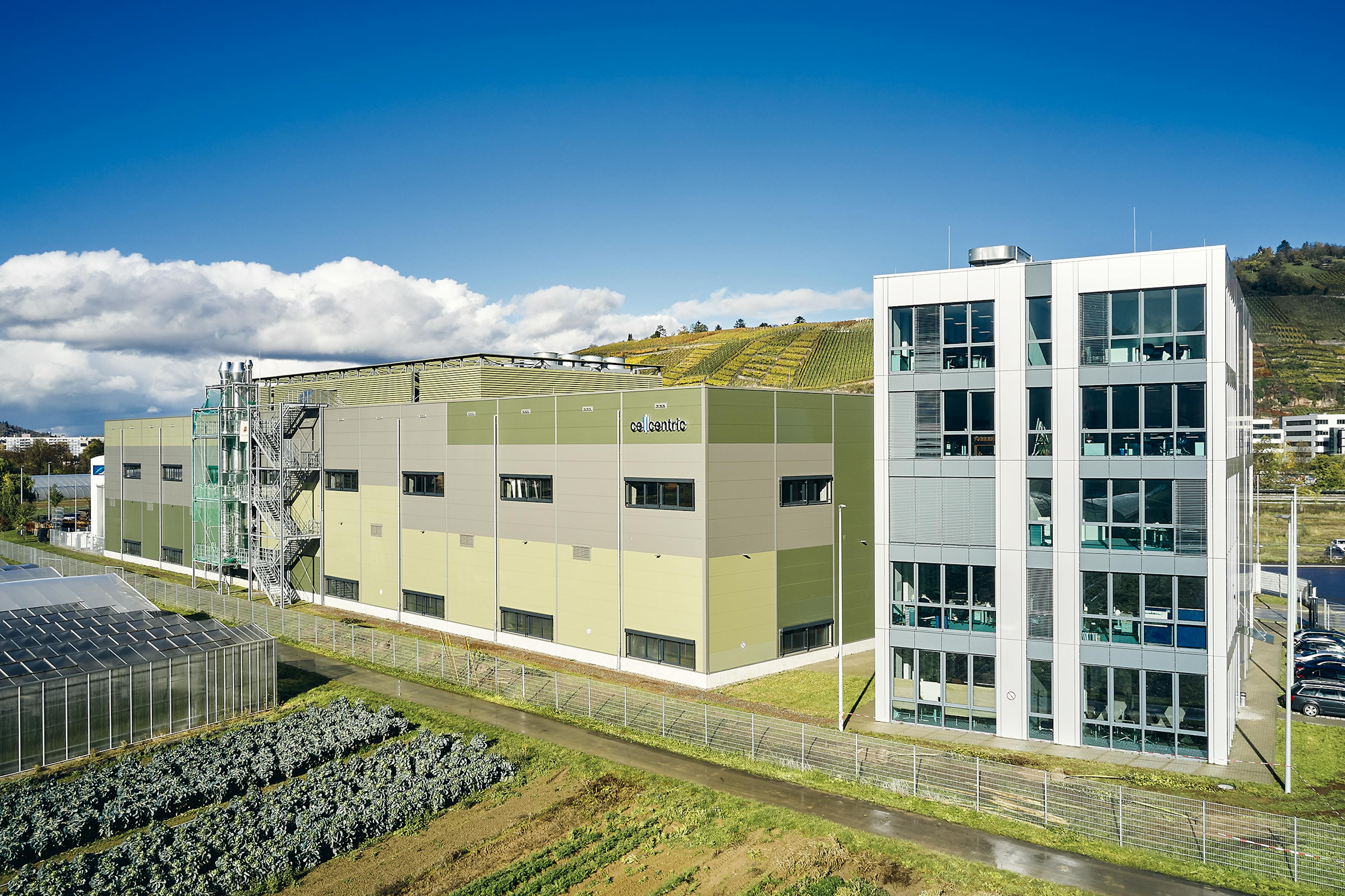 Industrial facility with greenhouses, office building and vineyard-covered hillside.