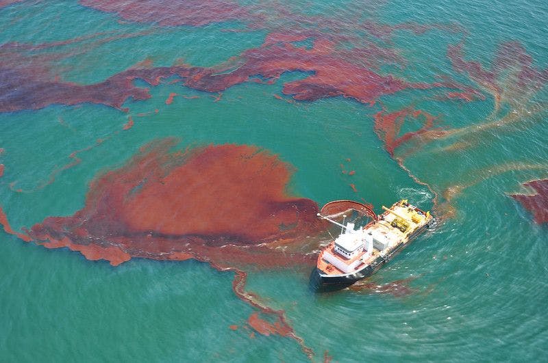 BP oil spill aftermath