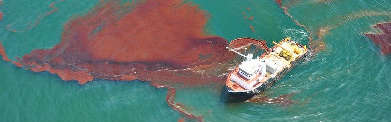 BP oil spill aftermath