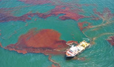 BP oil spill aftermath