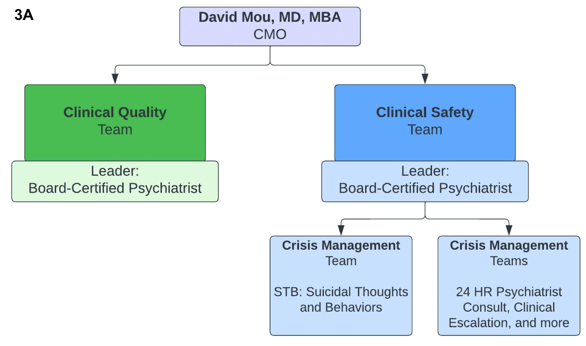 Graphic showing Cerebral Clinical Quality and Clinical Safety team reporting to David Mou
