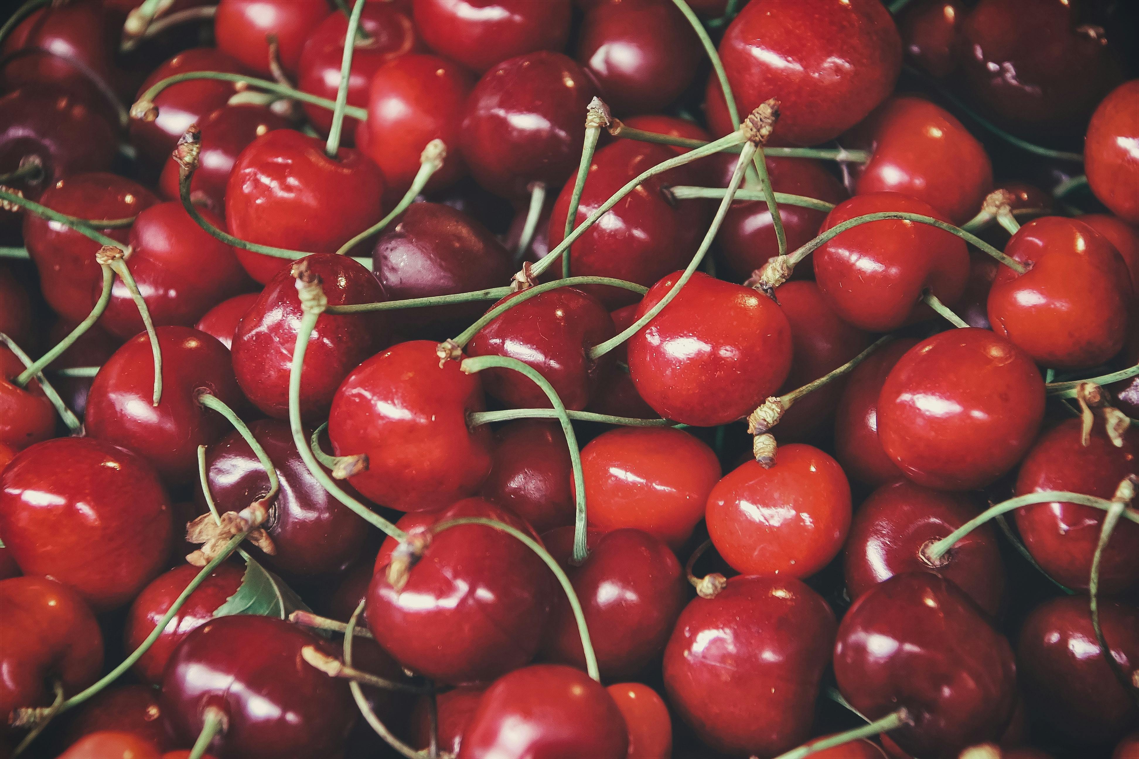 Cherries high in melatonin