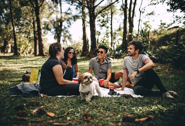 friends in a park