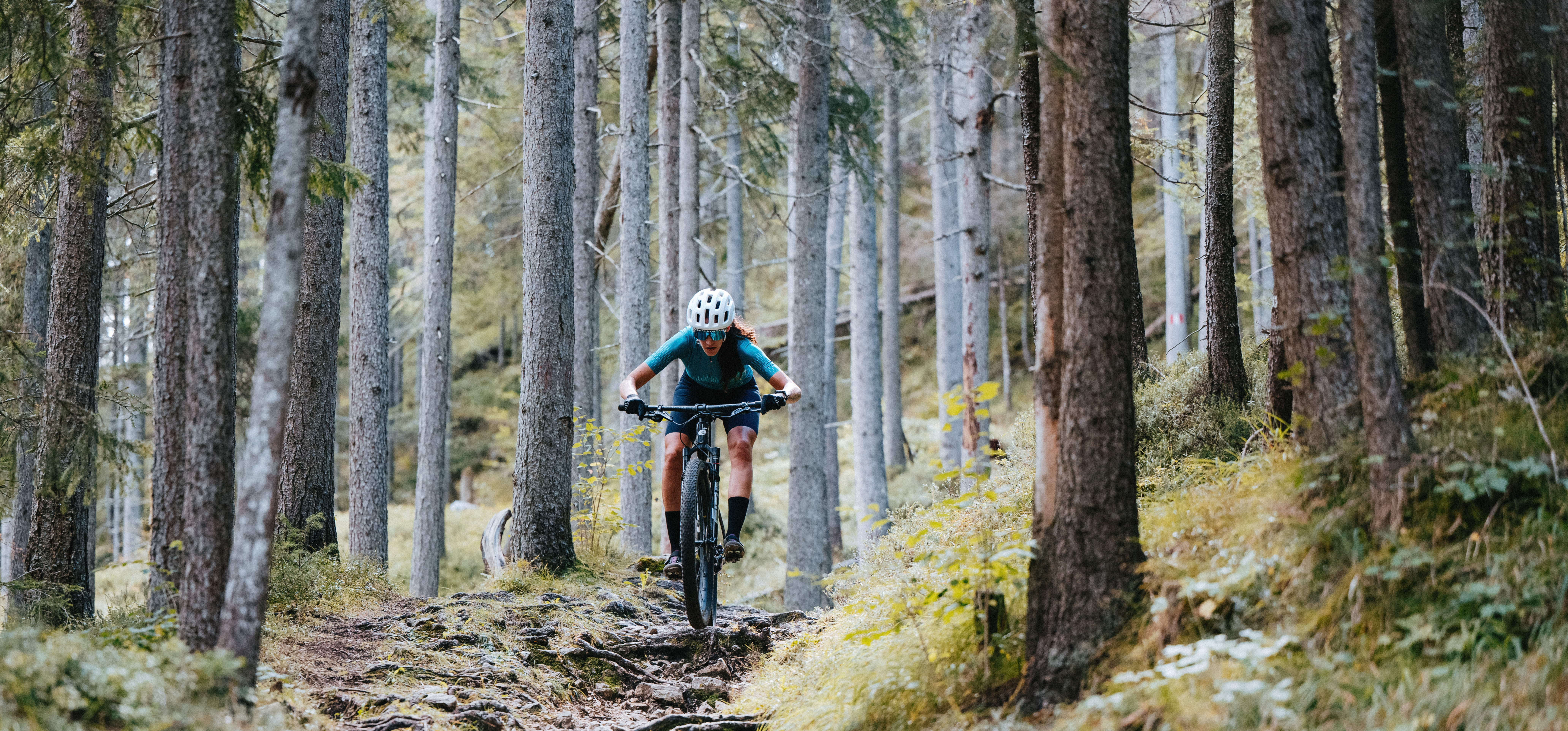 Cervelo ZHT-5 XX SL AXS 22