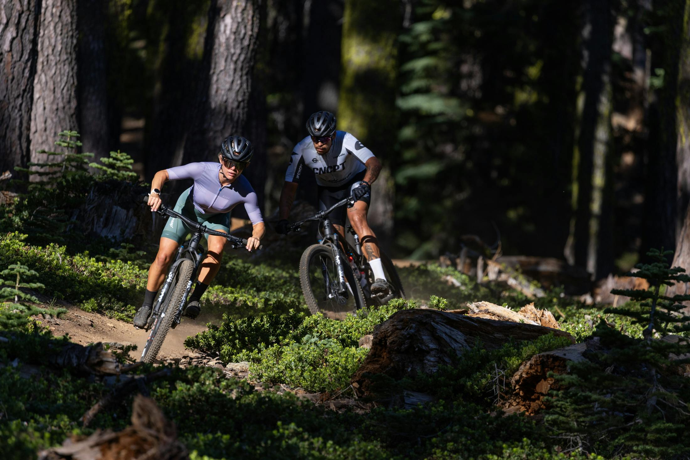 Cervelo ZFS-5 XTR 44