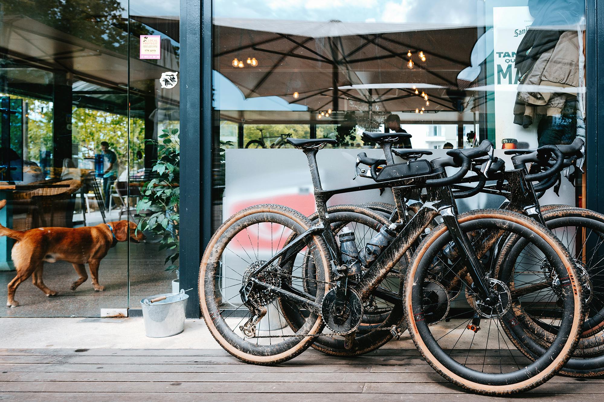 Cervelo Aspero-5 Force AXS 1 18