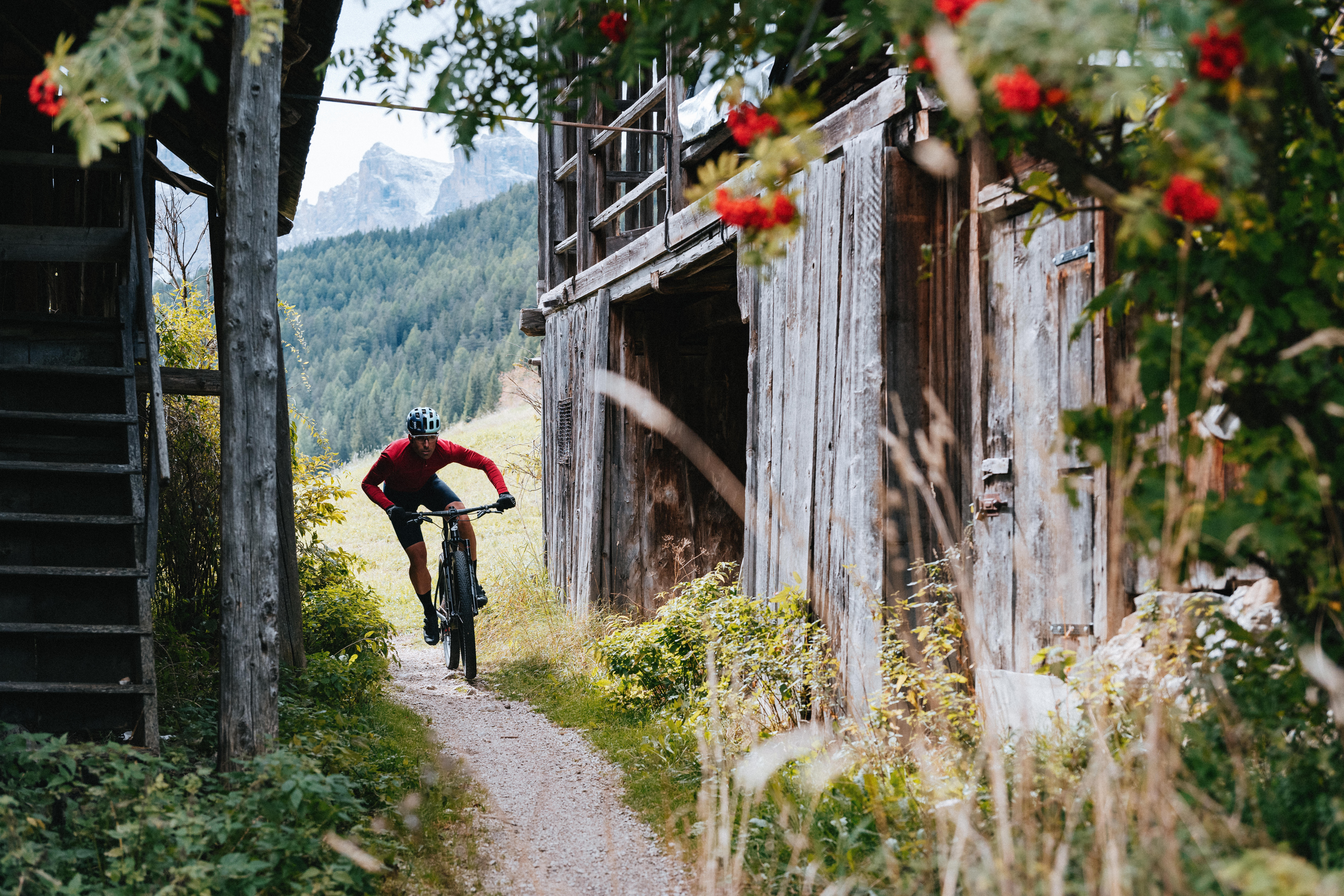 Cervelo ZHT-5 XX SL AXS 24
