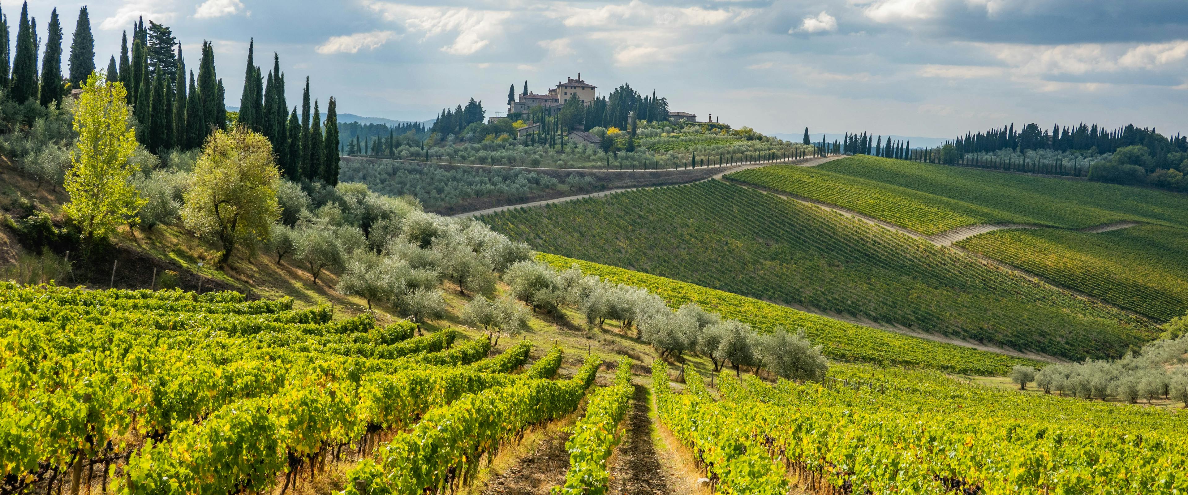 Chianti