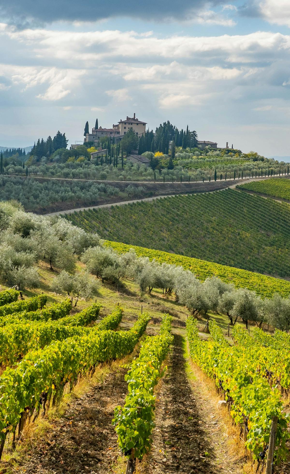 Chianti
