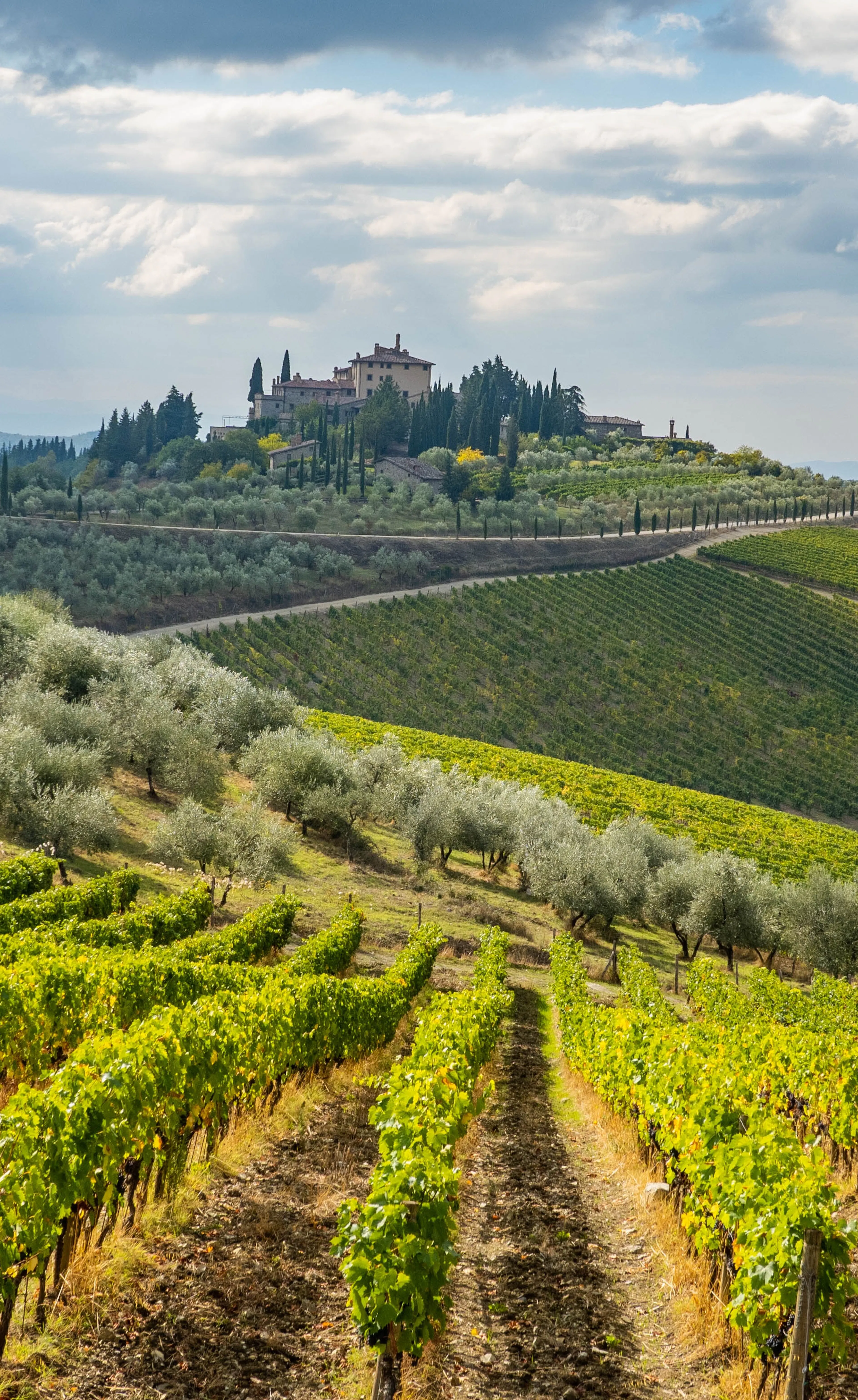 Chianti
