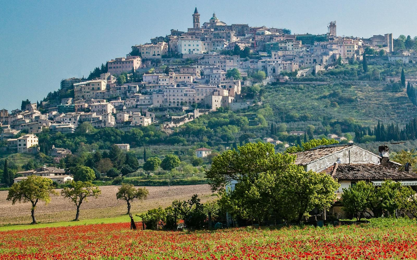 Trevi, Umbria, landscape, village, field with poppies