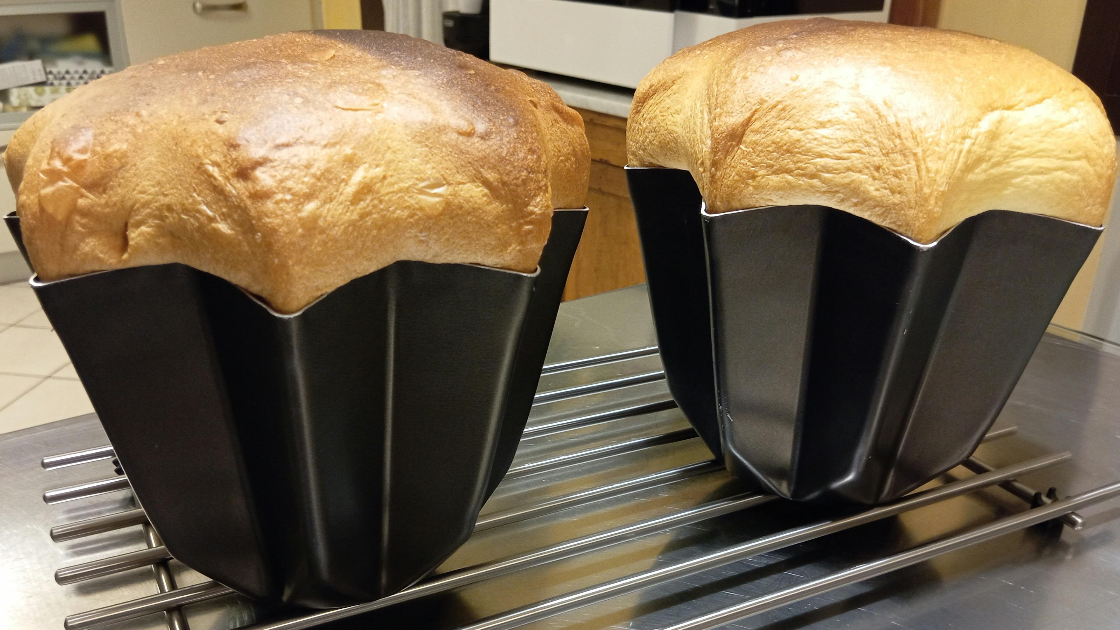 Pandoro in the mould