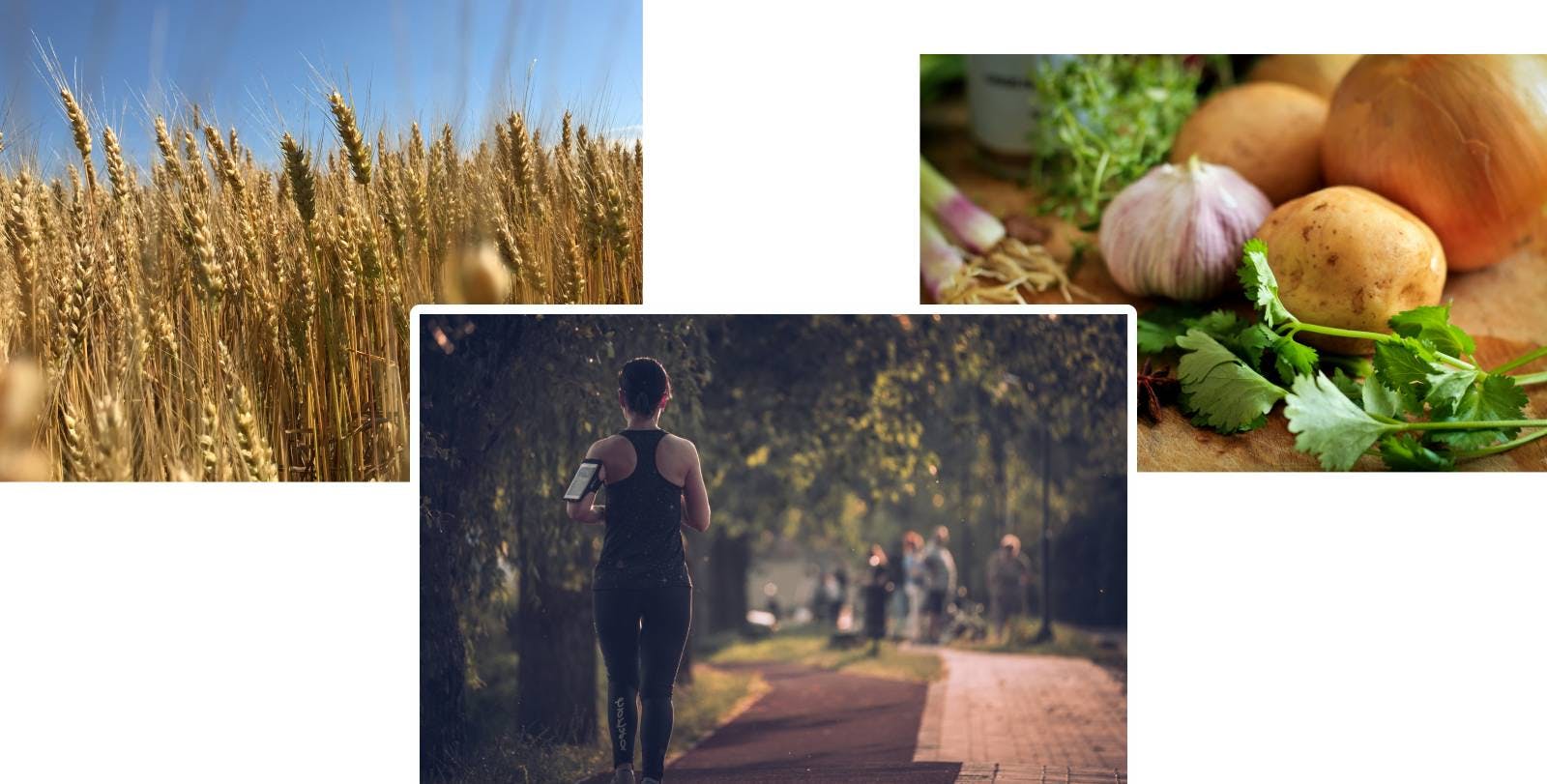 Grain, jogger, raw vegetables