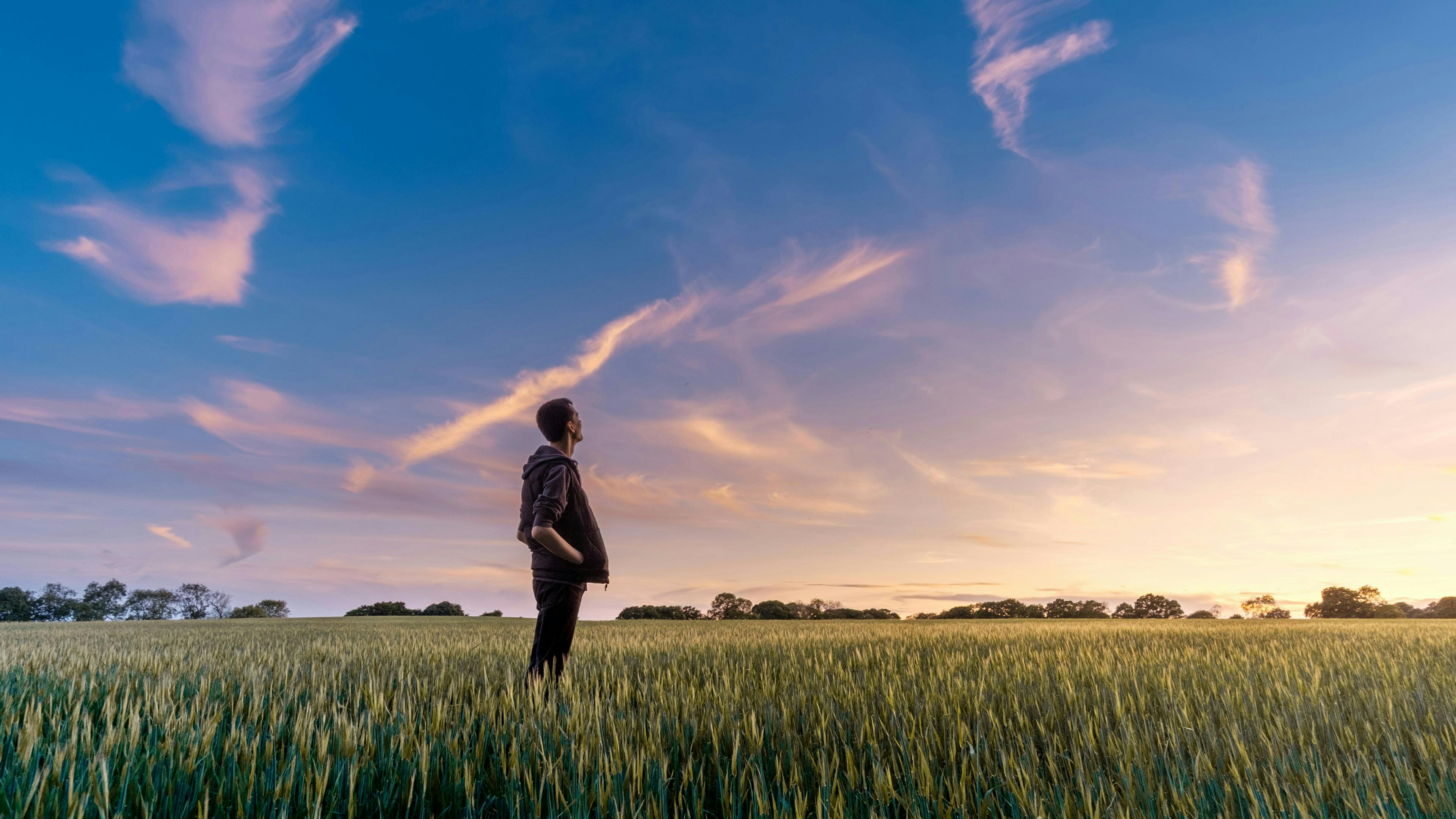 Nature, sustainability, wheat field, future