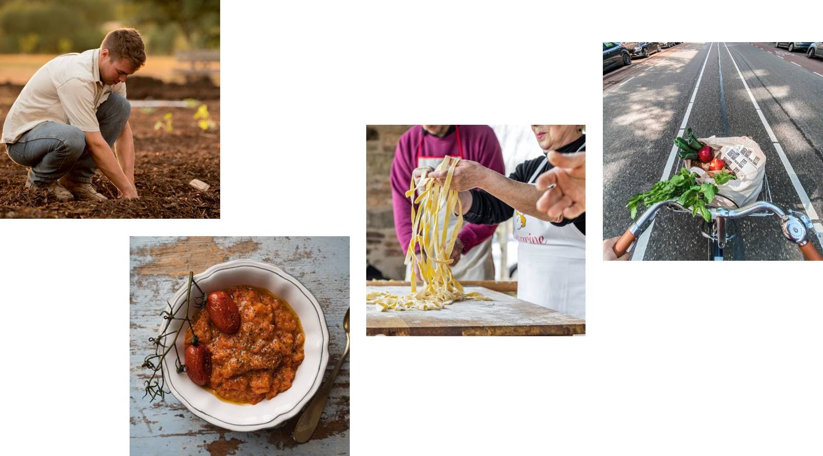 Farmer in a field, tomato soup, Cesarina prepares fresh tagliatelle, zero-kilometer shopping