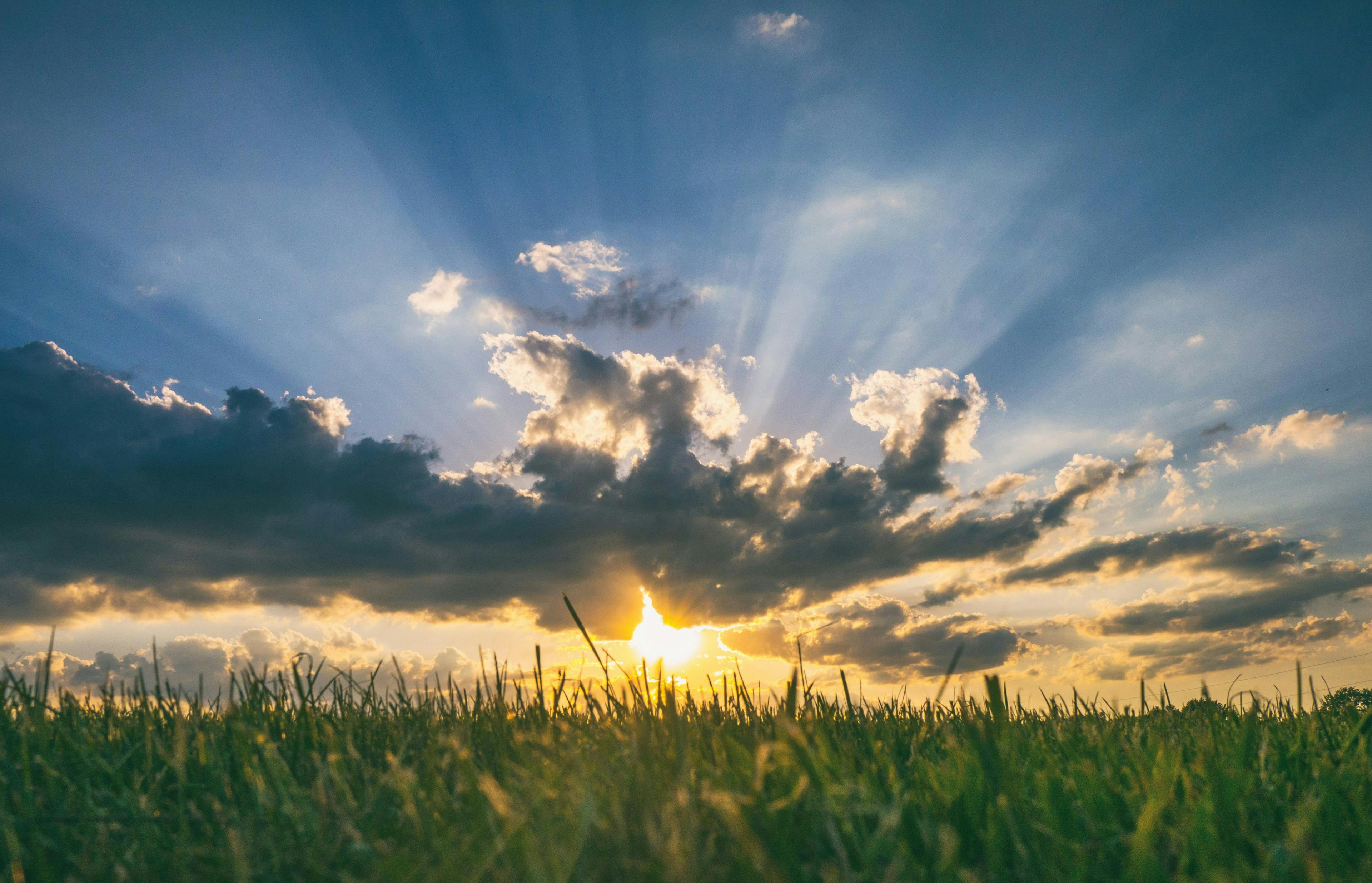 World Earth Day, meadow, clouds, and sunset sun