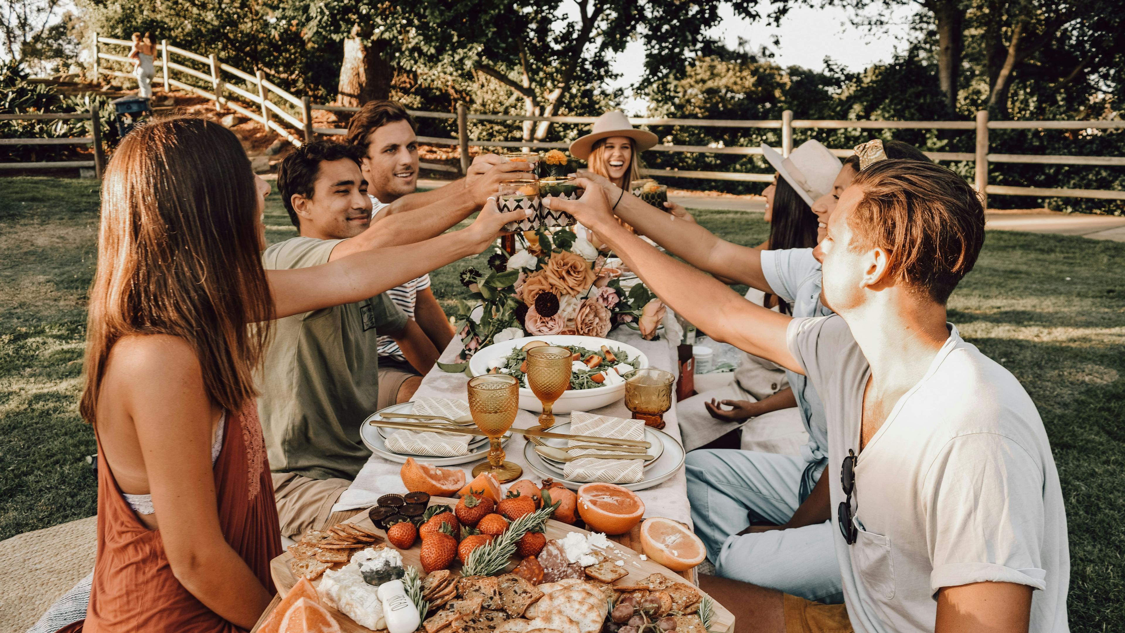 Picnic, brindisi, gente a tavola, natura