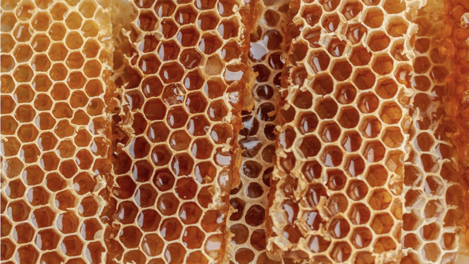 honeycomb