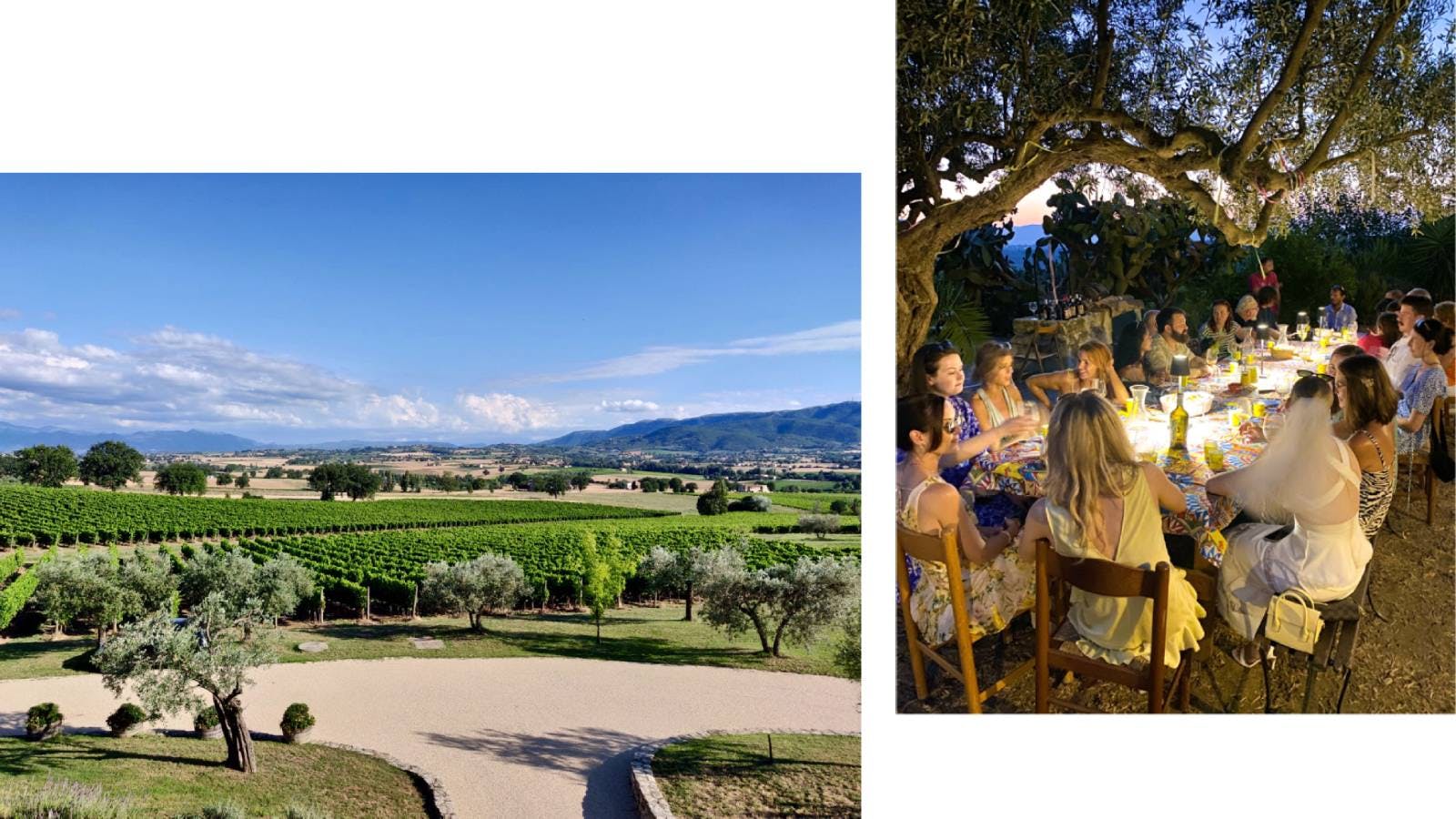 Composite photo with a panoramic view of hills with vineyards and a group of friends around a table during dinner