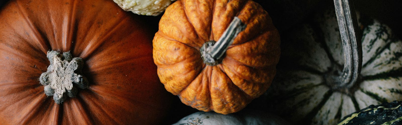 Zucche viste dall'alto