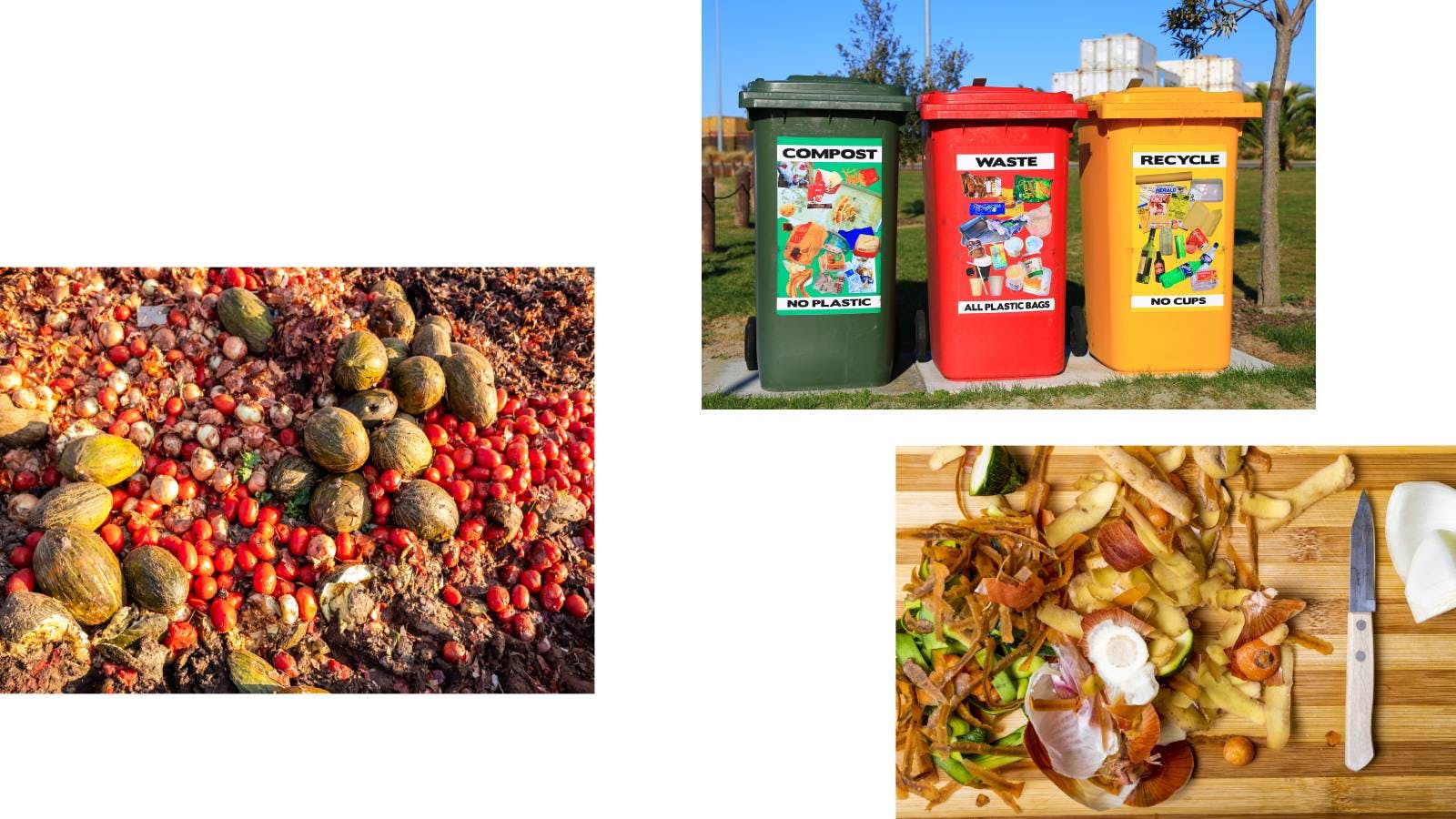 Food waste, recycling bins, food scraps to be reused